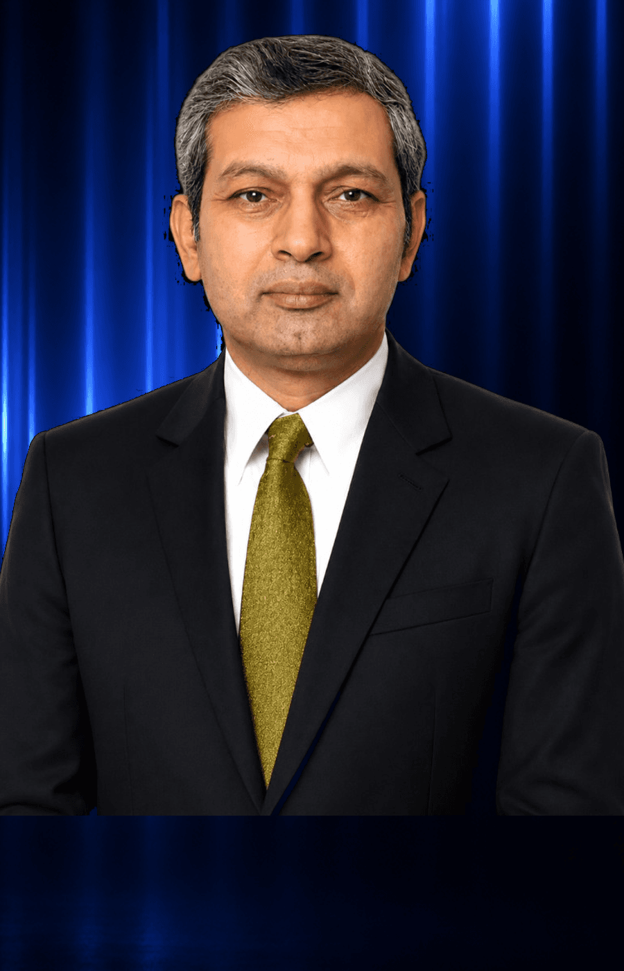 Raman Roy